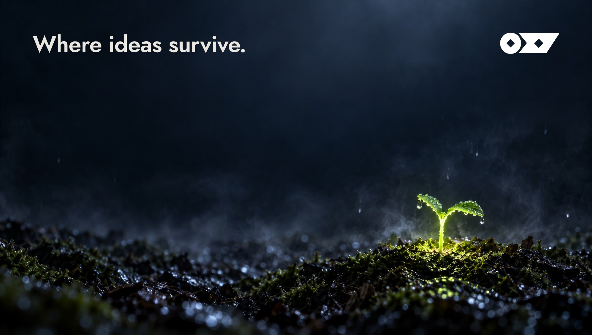 Key art: a glowing seedling against a vast dark night